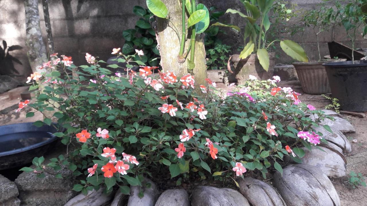 Villa Vidura Bataduwa ภายนอก รูปภาพ